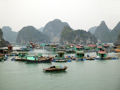 Cat Ba Fish farms