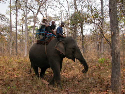 Elephant riding in Yok Don in dry season